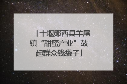十堰郧西县羊尾镇“甜蜜产业”鼓起群众钱袋子